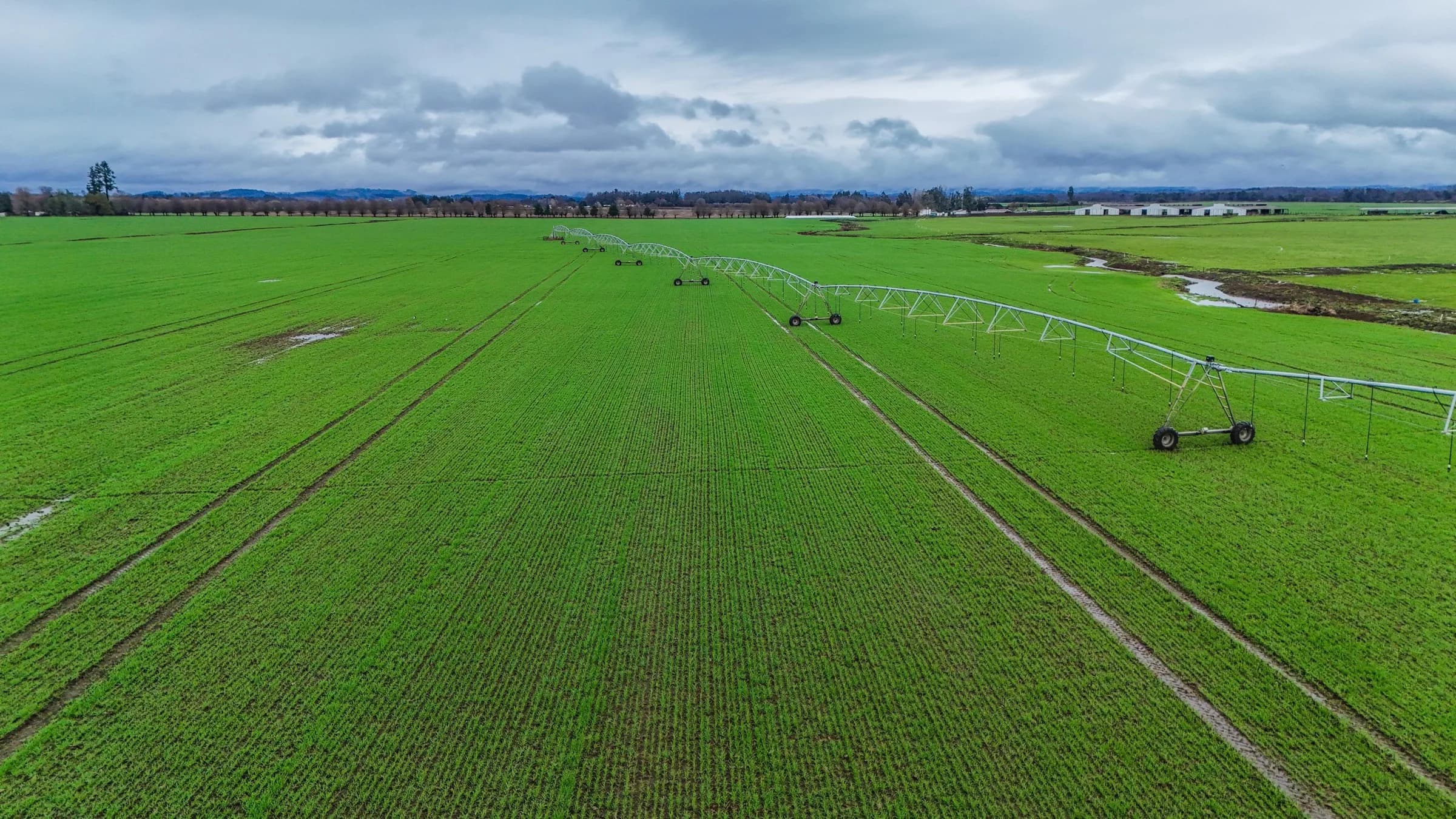 Pivote central de riego sobre campo verde con cielo nublado