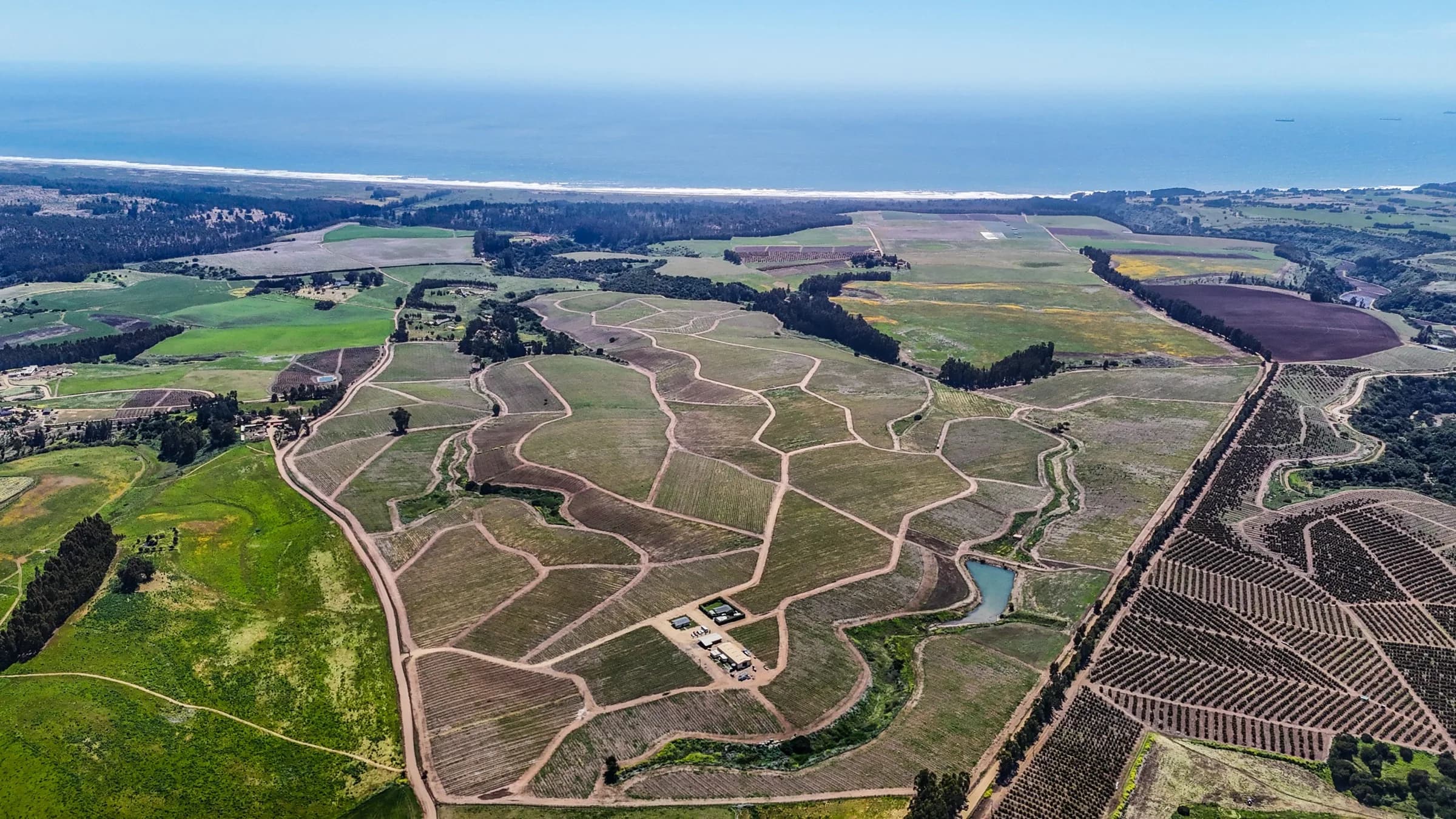 Campos agrícolas costeros con vista al Pacífico