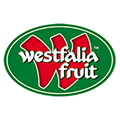Logo cliente