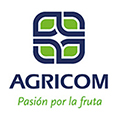 Logo cliente