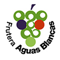 Logo cliente